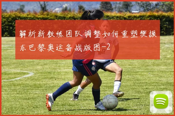 解析新教练团队调整如何重塑樊振东巴黎奥运备战版图