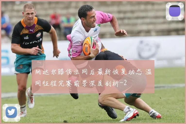 纳达尔膝伤法网后最新恢复动态 温网征程完赛前景深度剖析