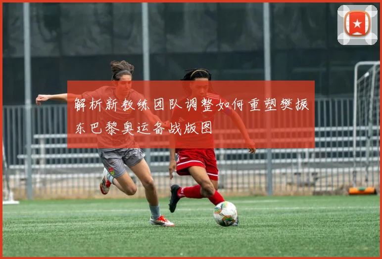解析新教练团队调整如何重塑樊振东巴黎奥运备战版图